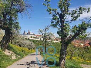 Pronájem bytu 1+kk, Praha - Malá Strana, Újezd, 23 m2