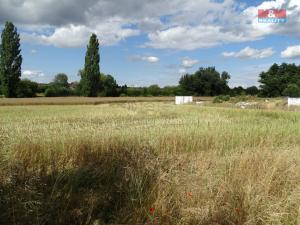 Prodej pozemku pro bydlení, Kolešovice, 1217 m2