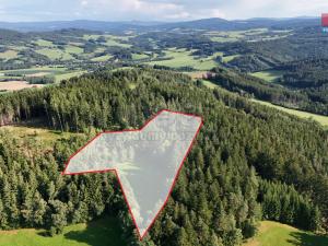 Prodej lesa, Petrovice u Sušice - Maršovice, 15707 m2