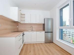 Pronájem bytu 1+kk, Liberec - Liberec III-Jeřáb, U Nisy, 30 m2