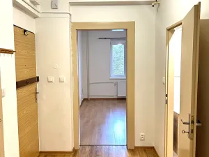Pronájem bytu 1+1, Plzeň, Tělocvičná, 51 m2
