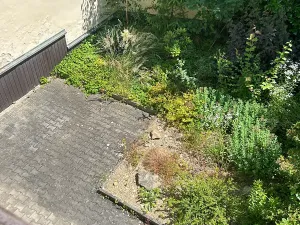 Pronájem bytu 1+1, Plzeň, Tělocvičná, 51 m2