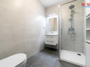 Prodej bytu 1+kk, Plzeň - Severní Předměstí, alej Svobody, 45 m2