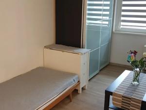 Pronájem bytu 1+kk, Teplice, Petra Jilemnického, 30 m2