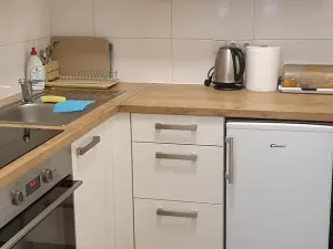 Pronájem bytu 1+kk, Teplice, Petra Jilemnického, 30 m2