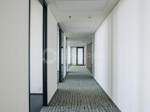 Pronájem kanceláře, Brno - Slatina, Tuřanka, 380 m2