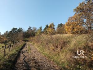 Prodej pozemku, Letovice, 2184 m2