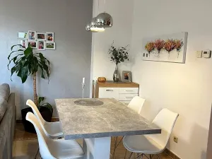 Pronájem bytu 2+kk, Olomouc, Bacherova, 84 m2