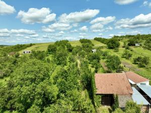 Prodej pozemku, Boršice u Blatnice, 798 m2