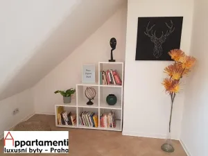 Prodej bytu 2+kk, Praha - Nové Město, V tůních, 64 m2