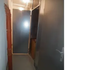Prodej bytu 2+kk, Praha - Žižkov, Rečkova, 41 m2