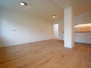 Pronájem bytu 2+kk, Praha - Řepy, Na moklině, 51 m2