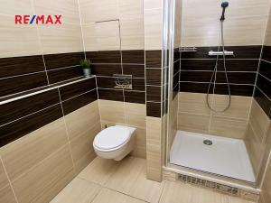 Pronájem bytu 1+kk, Praha - Michle, Magistrů, 30 m2