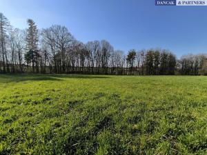 Prodej pozemku, Dolní Domaslavice, 2891 m2