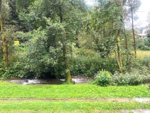 Prodej chaty, Klášterec nad Orlicí - Lhotka, 82 m2