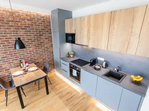 Pronájem bytu 1+kk, Praha - Žižkov, Seifertova, 32 m2