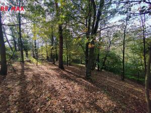 Prodej zahrady, Klimkovice, 1738 m2