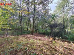 Prodej zahrady, Klimkovice, 1738 m2