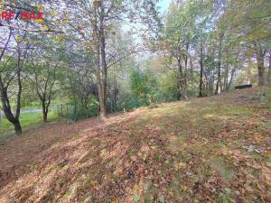 Prodej zahrady, Klimkovice, 1738 m2