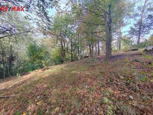 Prodej zahrady, Klimkovice, 1738 m2