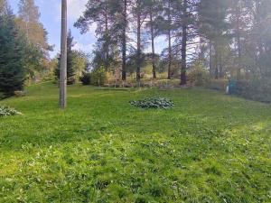 Prodej zahrady, Klimkovice, 1738 m2