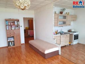 Prodej bytu 3+1, Litvínov, Hamerská, 69 m2