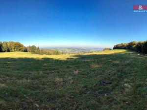 Prodej louky, Jiřetín pod Jedlovou - Rozhled, 15674 m2