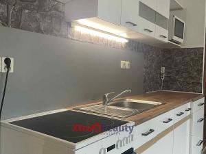 Pronájem bytu 1+kk, Teplice, Bílinská, 44 m2