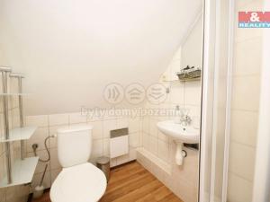 Pronájem ubytování, Frýdlant nad Ostravicí - Frýdlant, U letohrádku, 137 m2