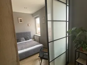 Pronájem bytu 1+kk, Nové Sady, 50 m2