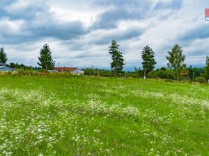 Prodej pozemku pro bydlení, Trhové Sviny, Rejta, 762 m2