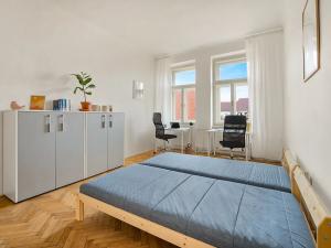 Pronájem pokoje, Brno, Starobrněnská, 22 m2