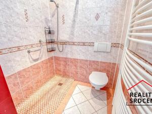 Prodej rodinného domu, Dětmarovice, 600 m2
