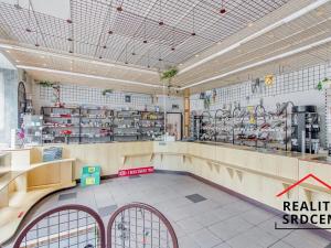Prodej rodinného domu, Dětmarovice, 600 m2