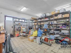Prodej rodinného domu, Dětmarovice, 600 m2