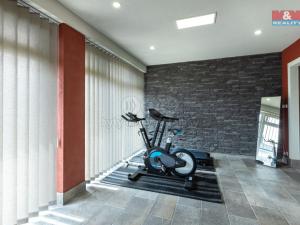 Prodej rodinného domu, Blšany u Loun, 176 m2