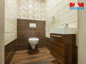 Prodej rodinného domu, Blšany u Loun, 176 m2