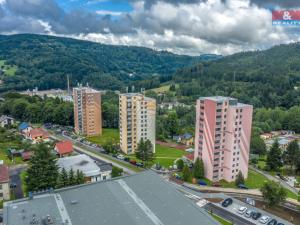 Prodej bytu 1+kk, Tanvald, Palackého, 25 m2