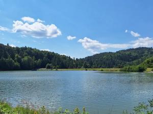 Prodej bytu 2+kk, Všemina, 45 m2