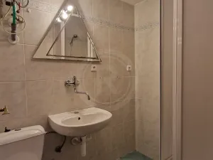 Pronájem bytu 1+1, České Budějovice, Nerudova, 27 m2