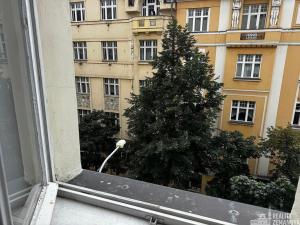 Pronájem bytu 1+kk, Praha - Vinohrady, Řipská, 46 m2