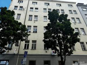Pronájem bytu 1+kk, Praha - Vinohrady, Řipská, 46 m2