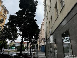 Pronájem bytu 1+kk, Praha - Vinohrady, Řipská, 46 m2