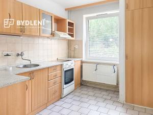 Pronájem bytu 1+1, Teplice, Palackého, 49 m2