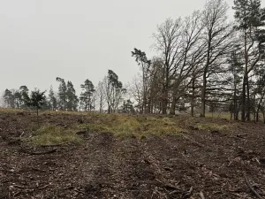 Prodej podílu pozemku, Veliny, 16991 m2