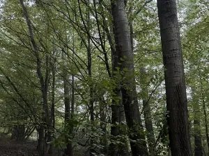 Prodej pozemku, Mladá Boleslav, 9466 m2