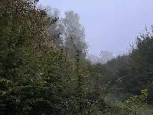 Prodej pozemku, Mladá Boleslav, 9466 m2