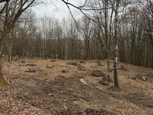 Prodej zahrady, Zlín, 1985 m2