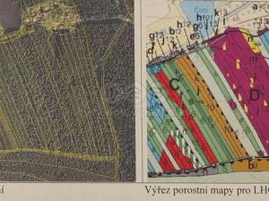 Prodej lesa, Lužná, 7844 m2