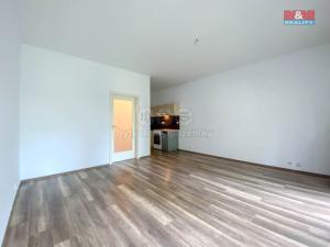 Pronájem bytu 1+kk, Lovosice, Osvoboditelů, 39 m2